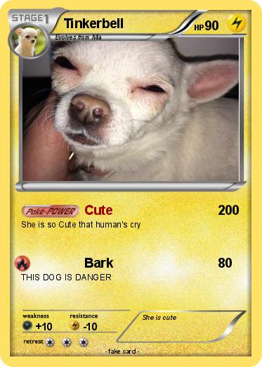 Pokemon Tinkerbell