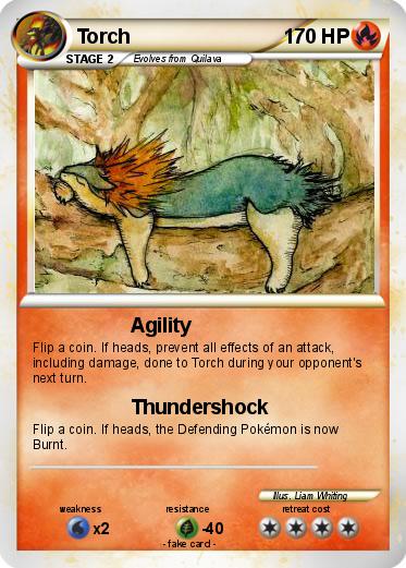 Pokemon Torch