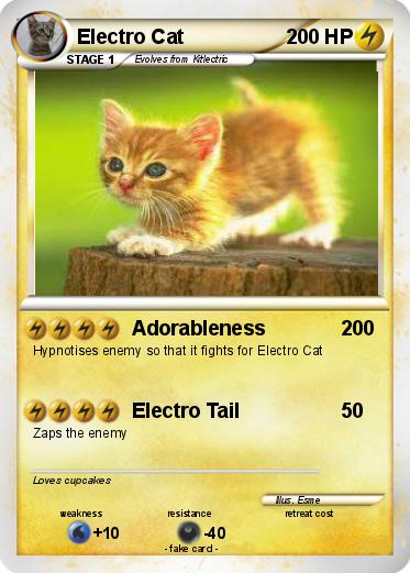 Pokemon Electro Cat