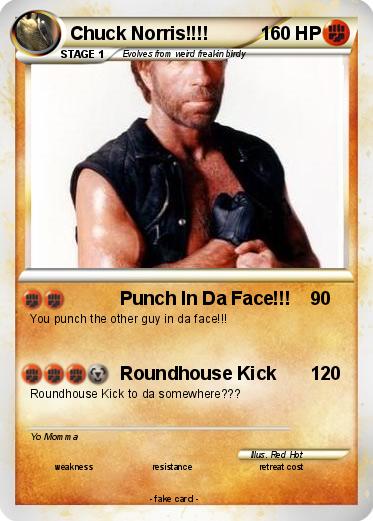 Pokemon Chuck Norris!!!!