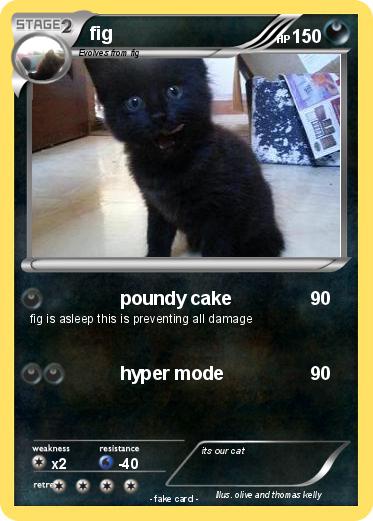 Pokemon fig