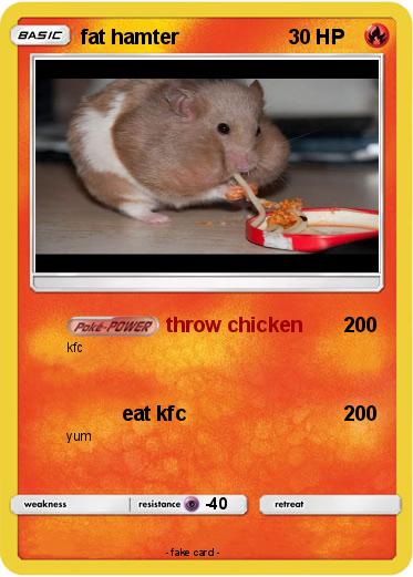 Pokemon fat hamter