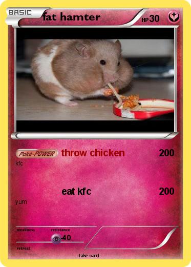 Pokemon fat hamter