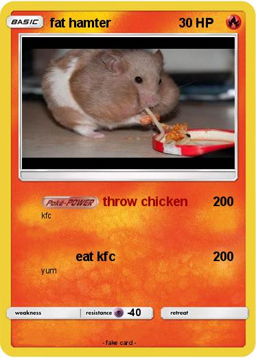 Pokemon fat hamter