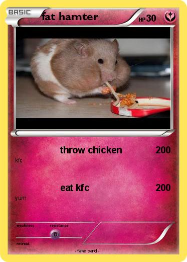 Pokemon fat hamter