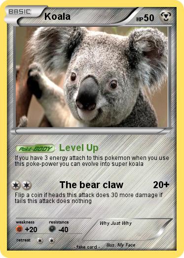 Pokemon Koala