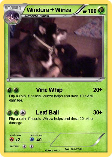 Pokemon Windura + Winza