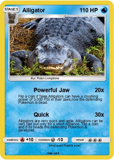 Pokemon Alligator
