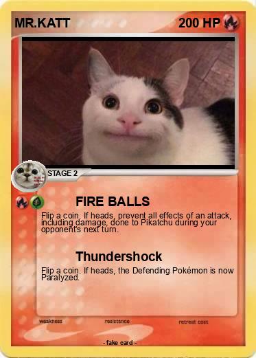 Pokemon MR.KATT