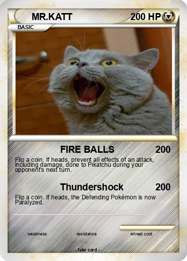 Pokemon MR.KATT