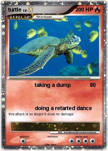 Pokemon turtle
