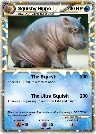 Pokemon Squishy Hippo