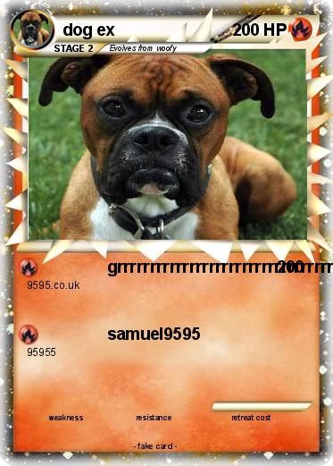 Pokemon dog ex