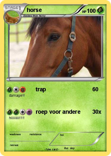 Pokemon horse