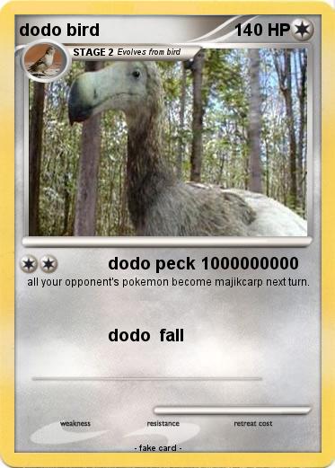 Pokemon dodo bird