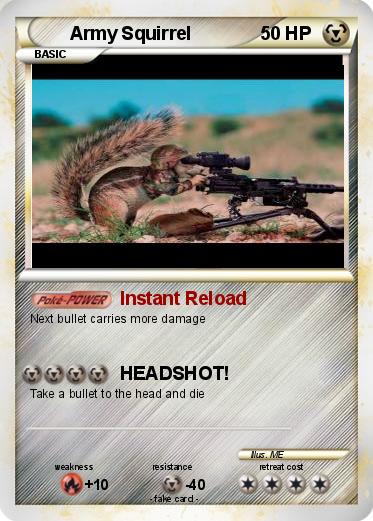 Pokemon Army Squirrel