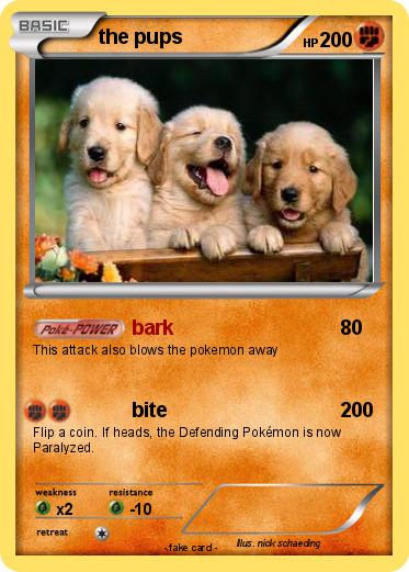 Pokemon the pups