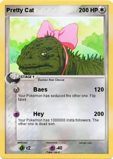 Pokemon Pretty Cat