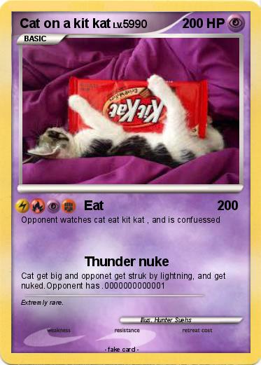 Pokemon Cat on a kit kat