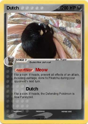 Pokemon Dutch