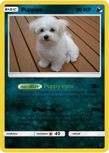 Pokemon Puppies