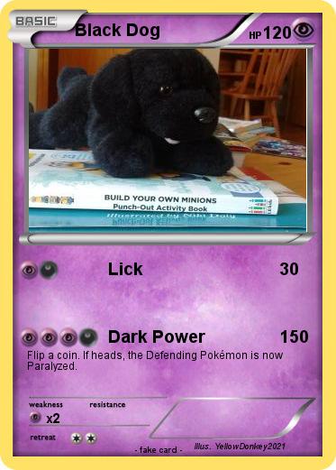 Pokemon Black Dog