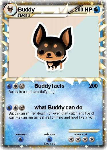 Pokemon Buddy