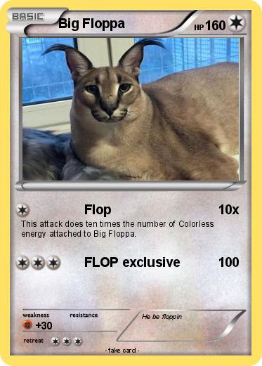Pokemon Big Floppa