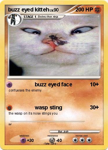 Pokemon buzz eyed kitteh