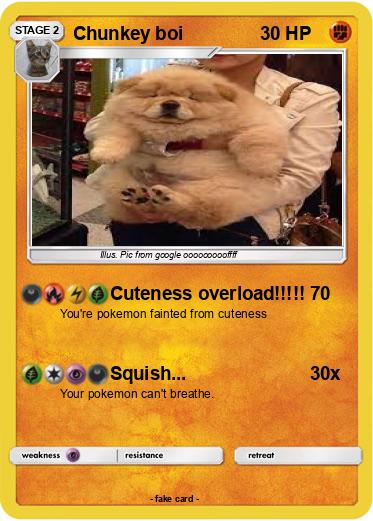 Pokemon Chunkey boi