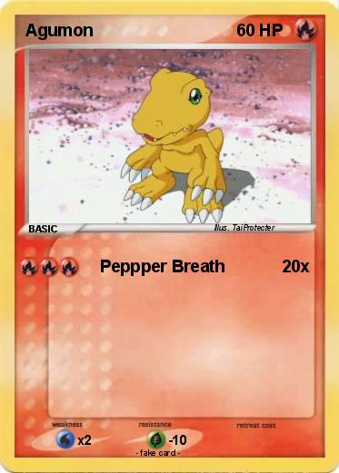Pokemon Agumon
