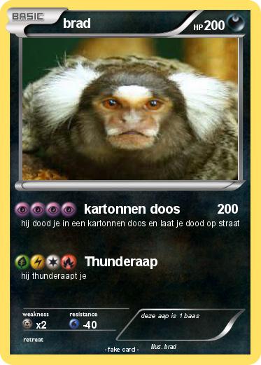 Pokemon brad