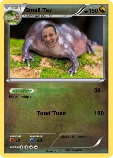 Pokemon Small Tez