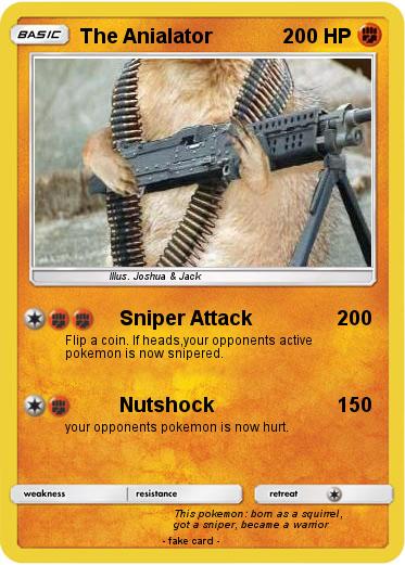 Pokemon The Anialator