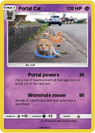 Pokemon Portal Cat