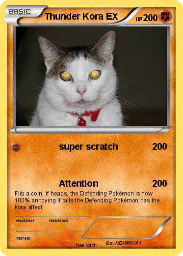 Pokemon Thunder Kora EX
