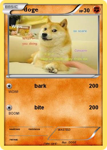 Pokemon doge