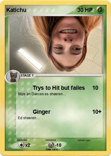 Pokemon Katichu