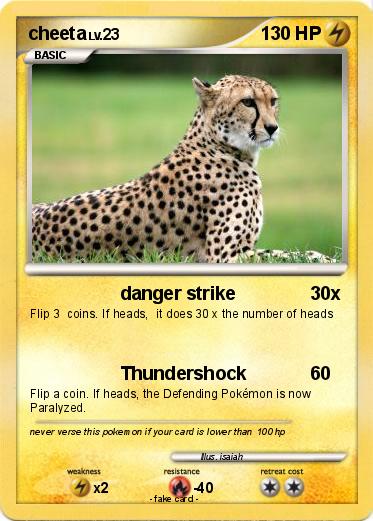 Pokemon cheeta