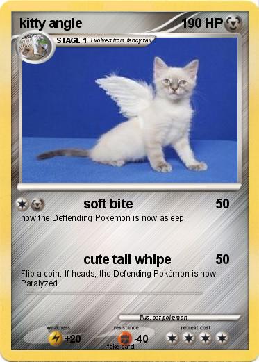 Pokemon kitty angle