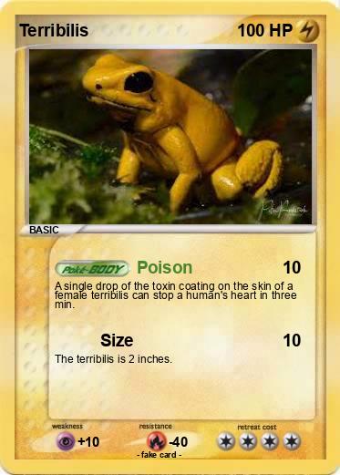 Pokemon Terribilis