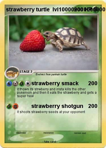 Pokemon strawberry turtle  lvl100000000000000