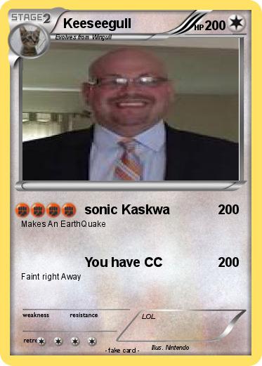 Pokemon Keeseegull