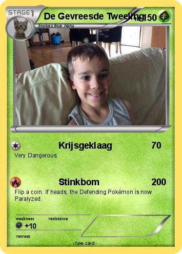 Pokemon De Gevreesde Tweeling
