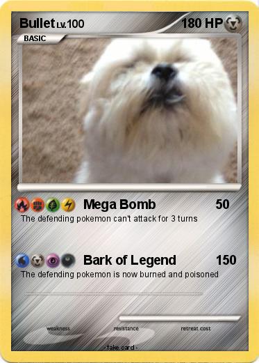 Pokemon Bullet