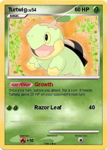 Pokemon Turtwig
