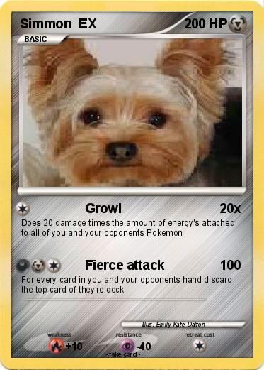Pokemon Simmon  EX