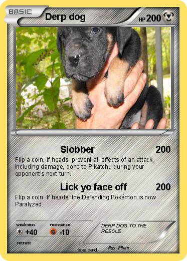 Pokemon Derp dog