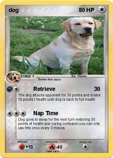 Pokemon dog