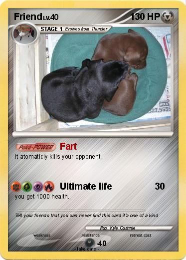 Pokemon Friend